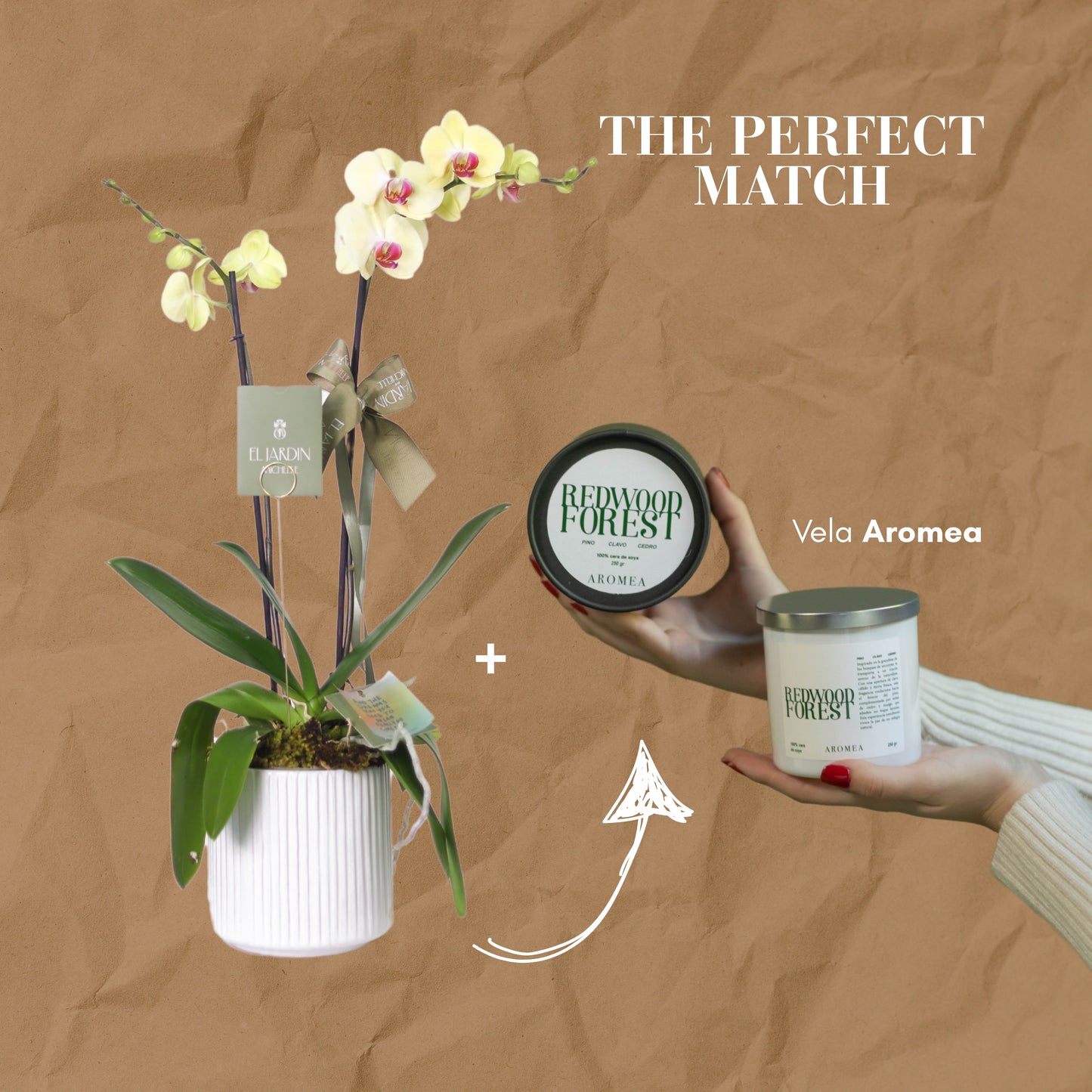 THE PERFECT MATCH