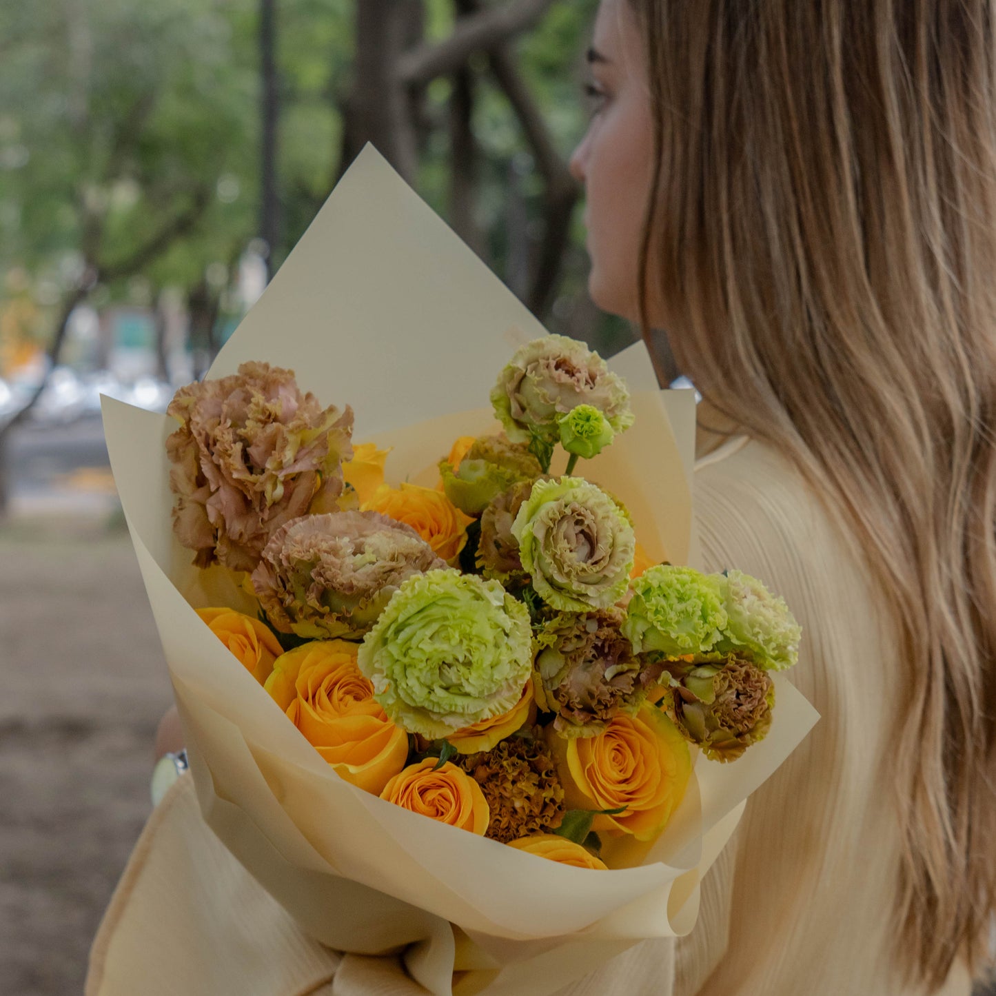 Yellow Rose