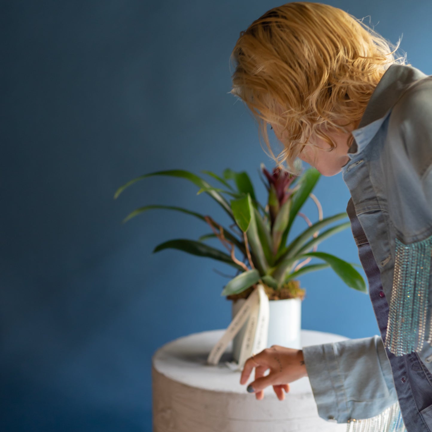 Plant Lover´s Gem