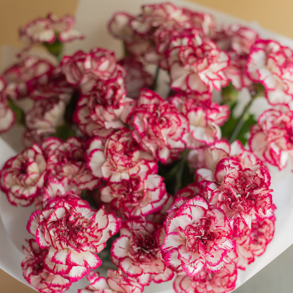 Bouquet Hipnosis de Claveles
