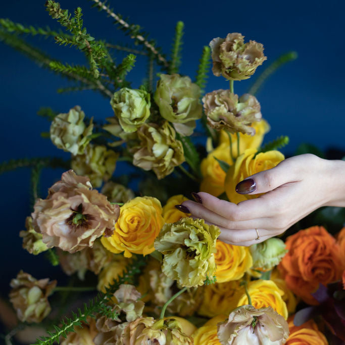 Whimsical Wonder