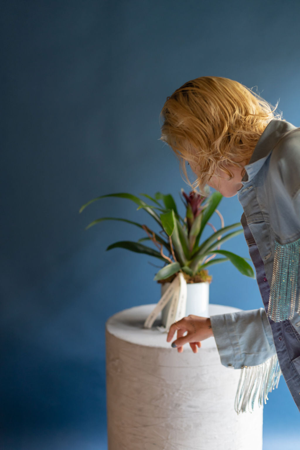 ORQUÍDEAS Y PLANTAS