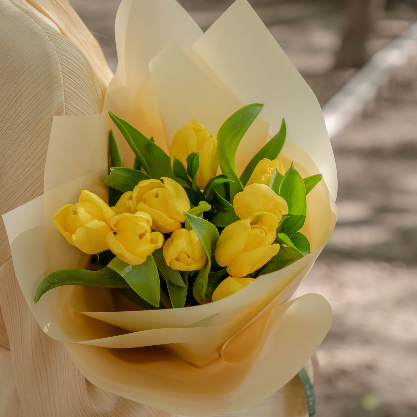 Tulips
