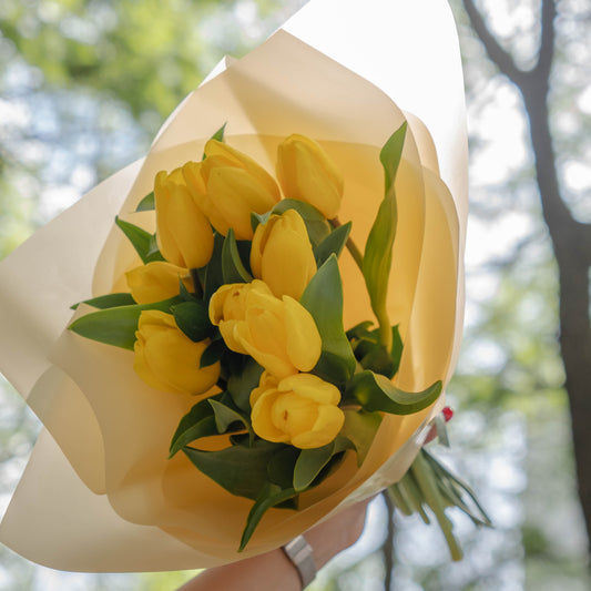 Tulips
