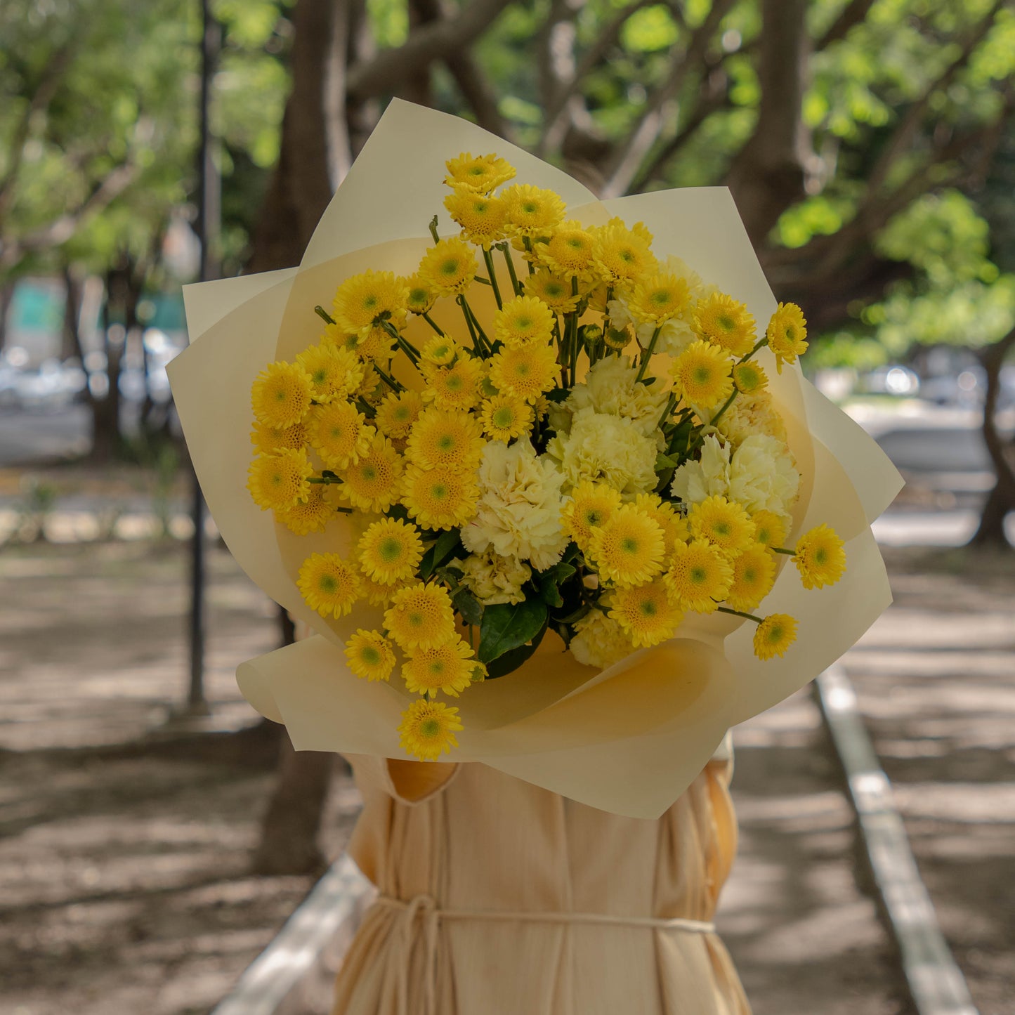 Yellow Carnation
