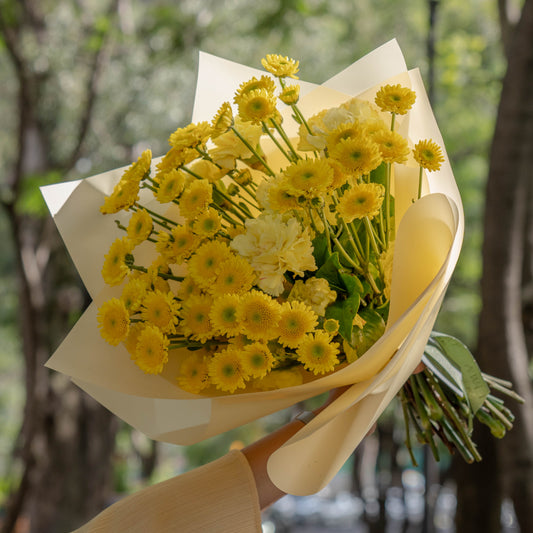 Yellow Carnation