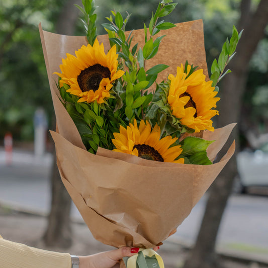 Girasoles