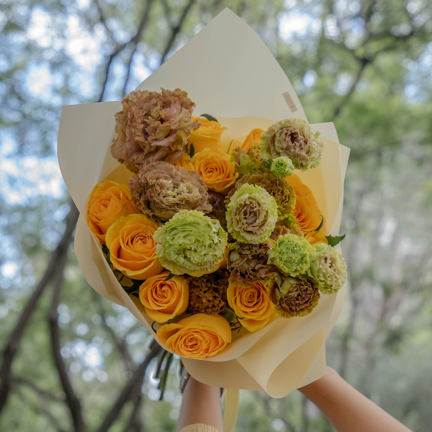 Yellow Rose