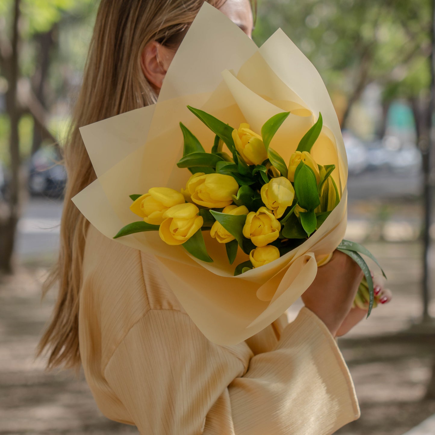 Tulips