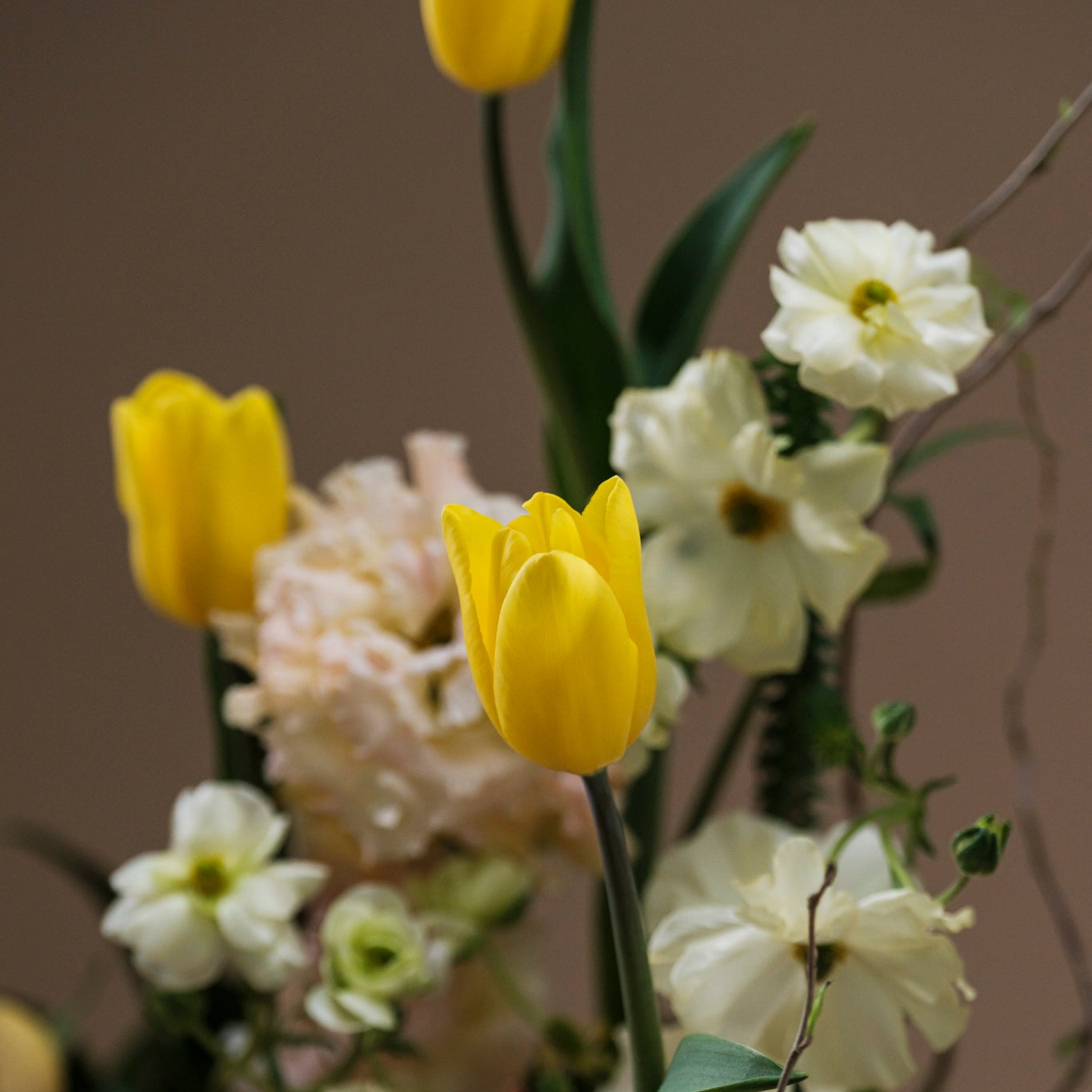 Lo que eres para mí